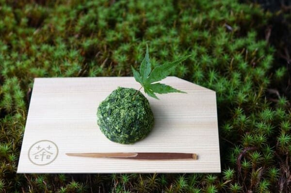 珈琲×茶の「食べられる苔玉」?が京都の和モダンカフェで特別価格で提供