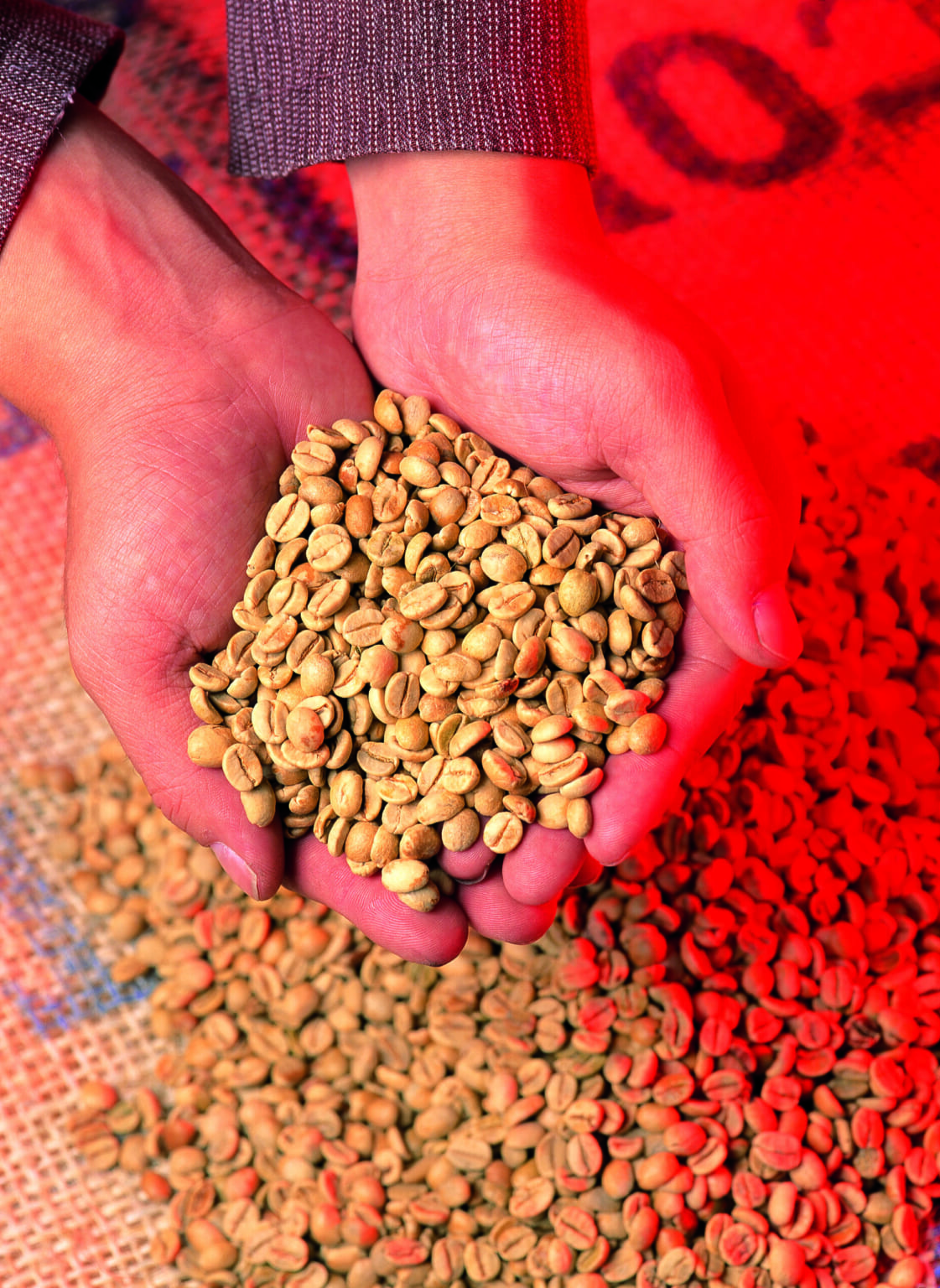 美味しいコーヒーを栽培する第一条件は気候!?