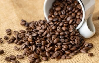 3e5f0be8b55e8986568e53fc43d35da7jpg | コーヒーステーション