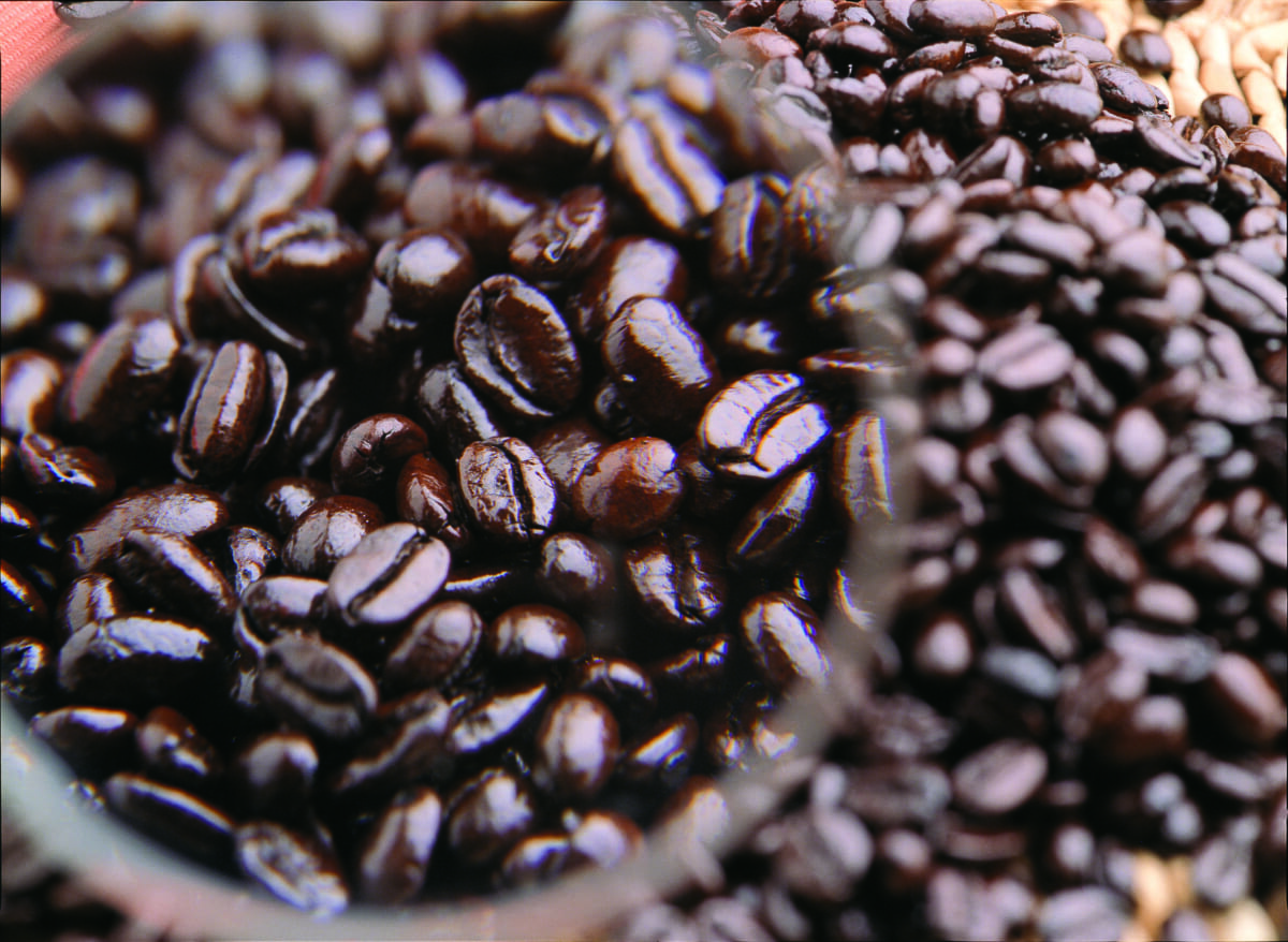 実は歴史が古い!ベストな環境で育てられた「メキシココーヒー」を楽しもう