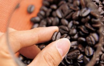 newsimg210215 | コーヒーステーション