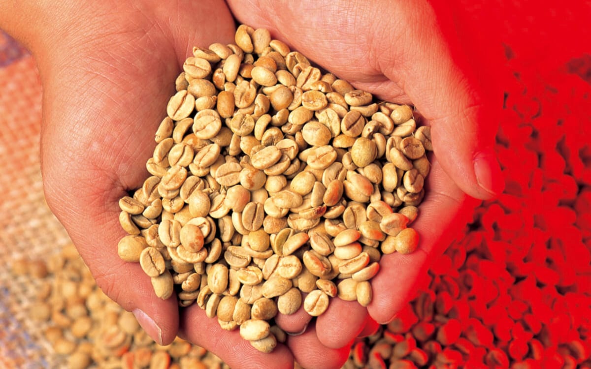 コーヒー豆の輸送手段と課題