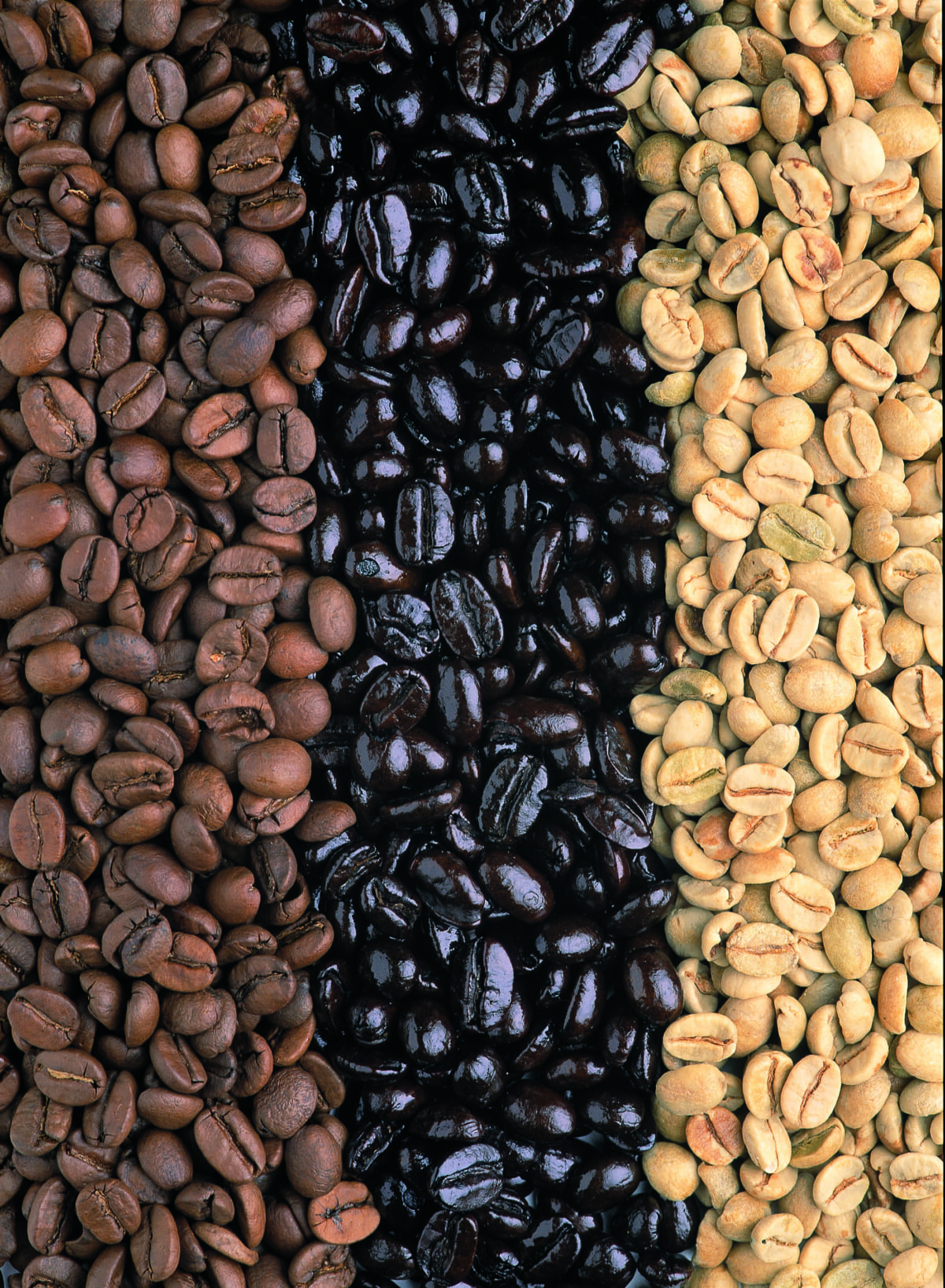 自分好みのコーヒー豆がインスタントコーヒーのように簡単に味わえる便利アイテム