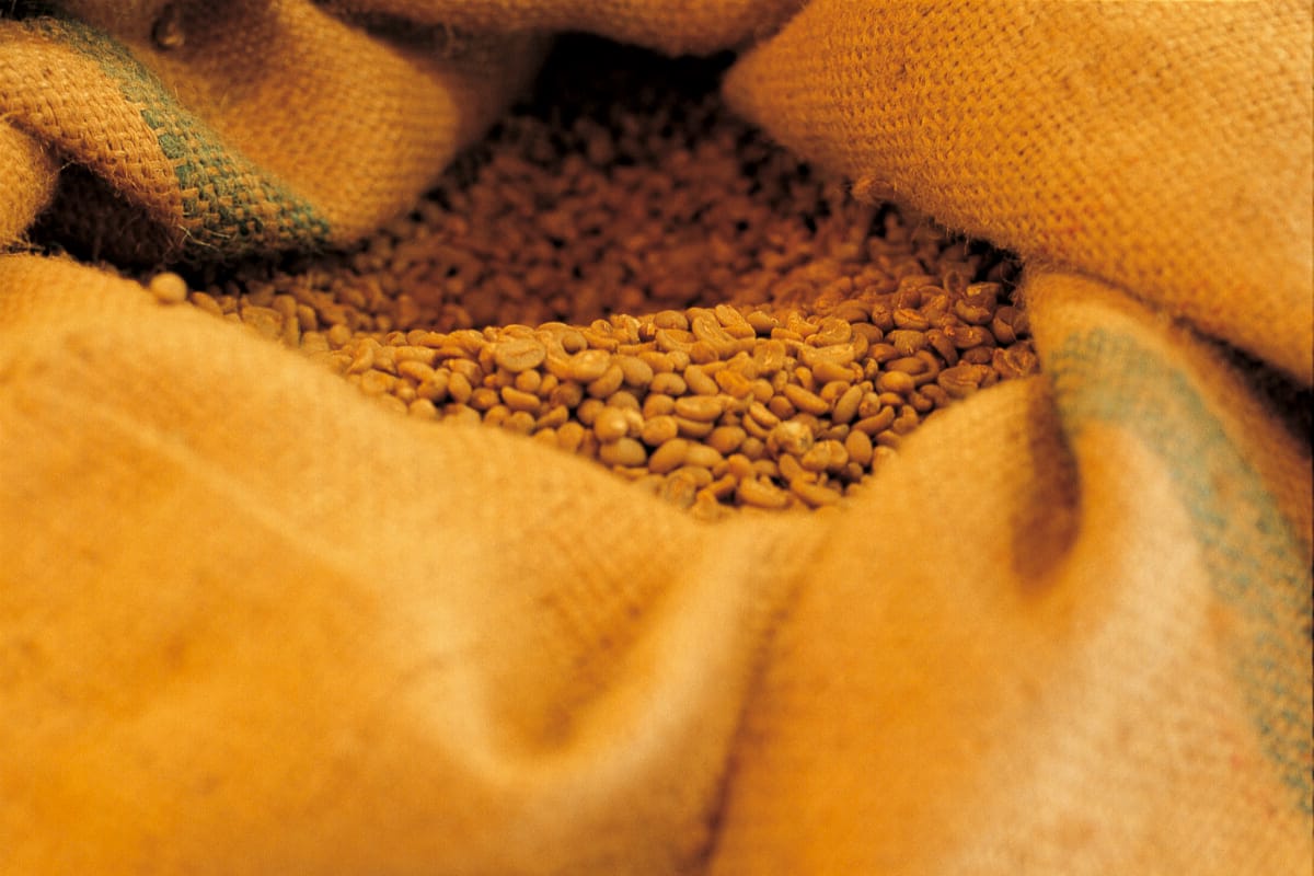 コーヒー豆の選別方法と流れ