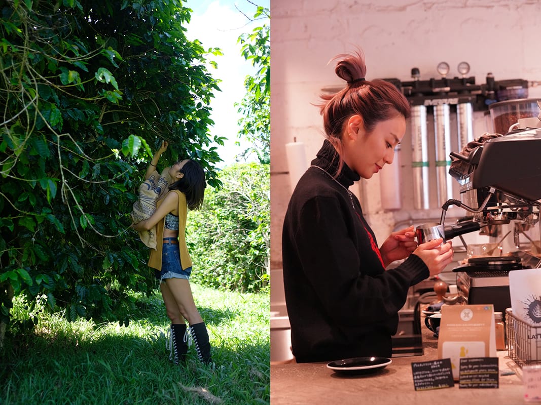 secolumimg2107014 | コーヒーステーション 国や農園によって大きな違い