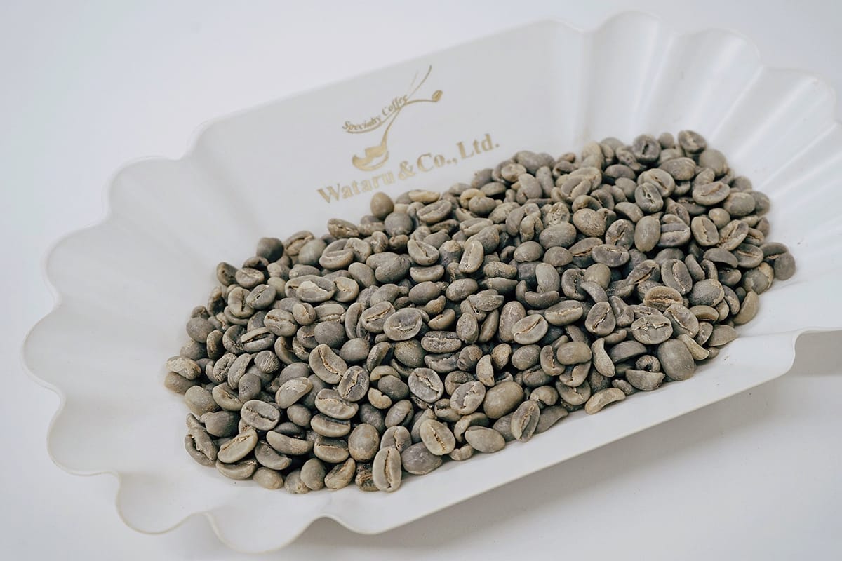 wcolumimg2106044 | コーヒーステーション スペシャルティコーヒー