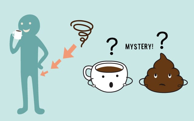 scolumimg2107152 | コーヒーステーション コーヒーを飲むとおなかがグルグルしてトイレに行きたくなる