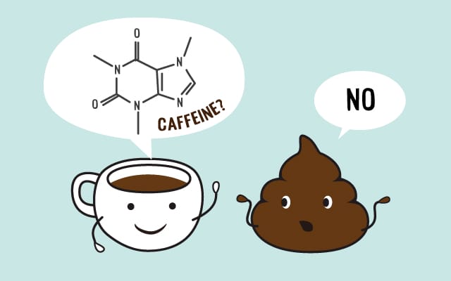 scolumimg2107153 | コーヒーステーション それってカフェインの働き