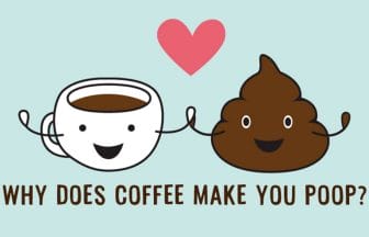 scolumimg210715sum | コーヒーステーション