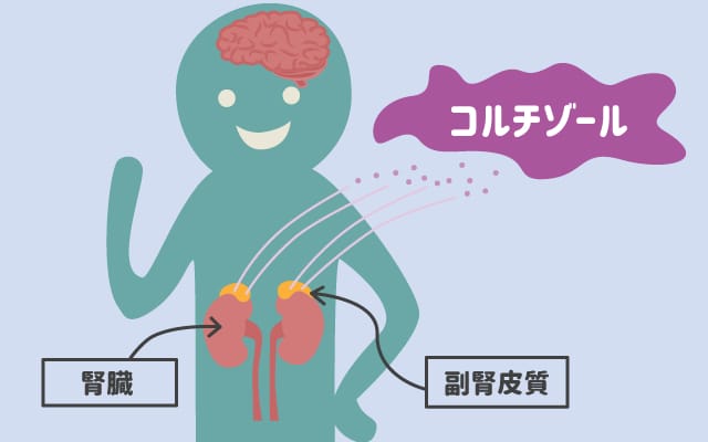 scolumimg2107283 | コーヒーステーション コルチゾール