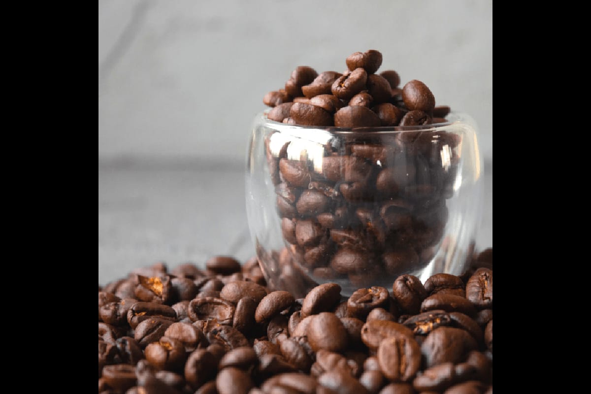 高木珈琲、数量限定スペシャリティコーヒーを入荷