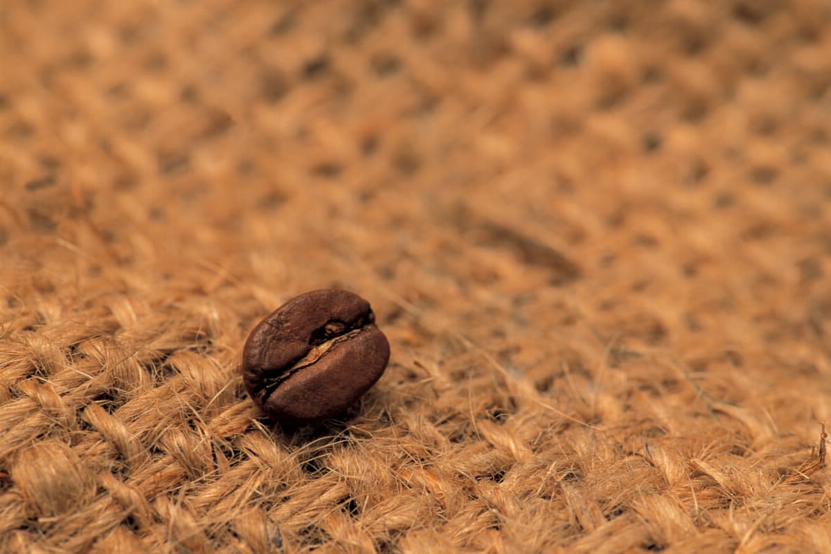 キャンプではポータブルコーヒーミル