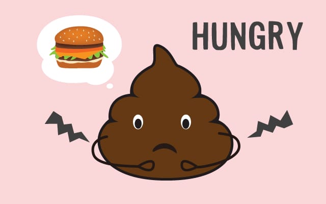 scolumimg2108115 | コーヒーステーション 空腹が犯人