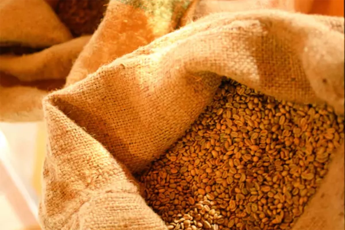 公正公平な貿易取引されるフェアトレードコーヒーの特徴は?