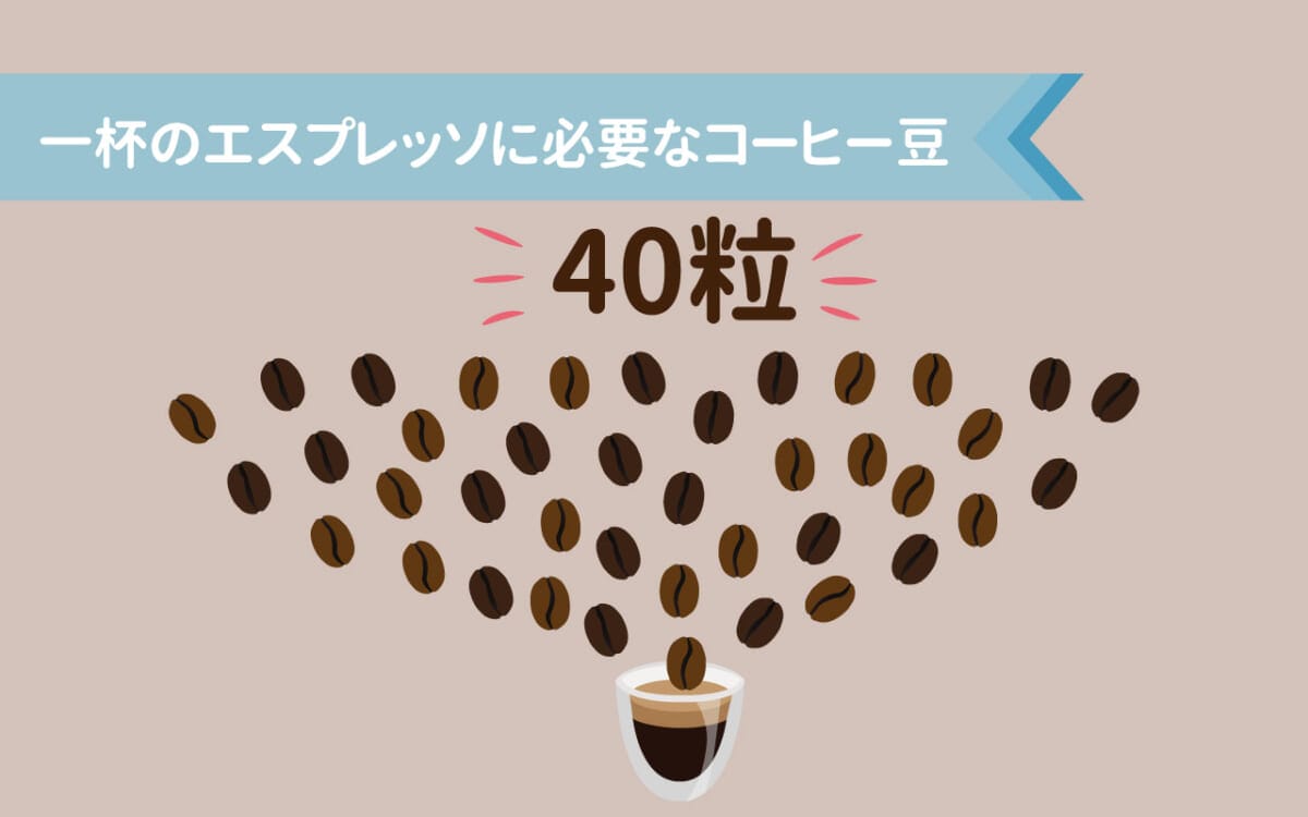 scolumimg2109292 | コーヒーステーション 1杯の小さなエスプレッソに必要なコーヒー豆の数