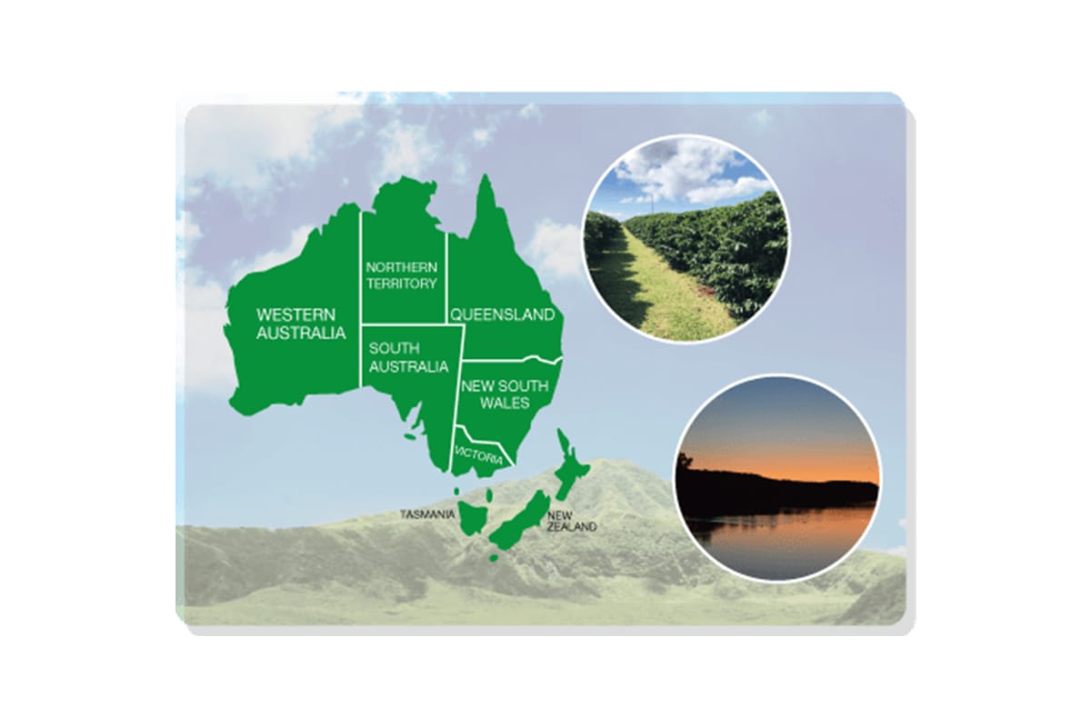 チョコレートビスケット「Tim Tam」の新フレーバーが登場