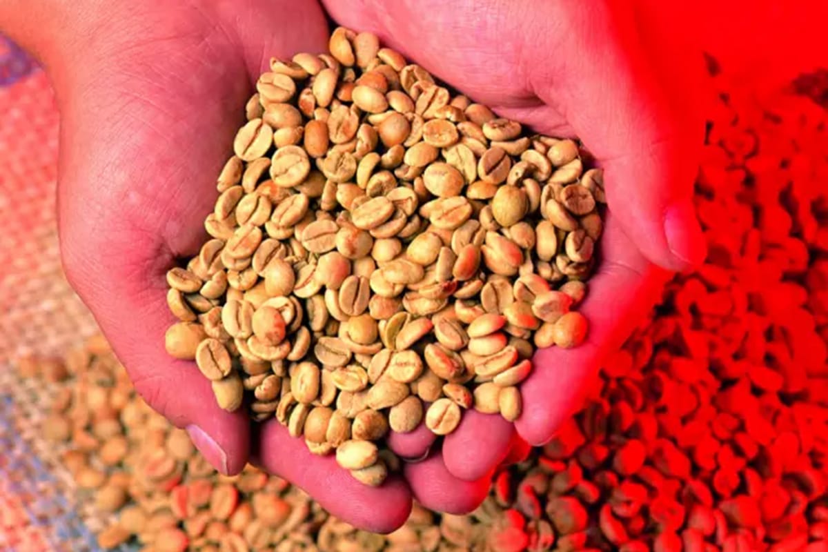 自家焙煎をする方法