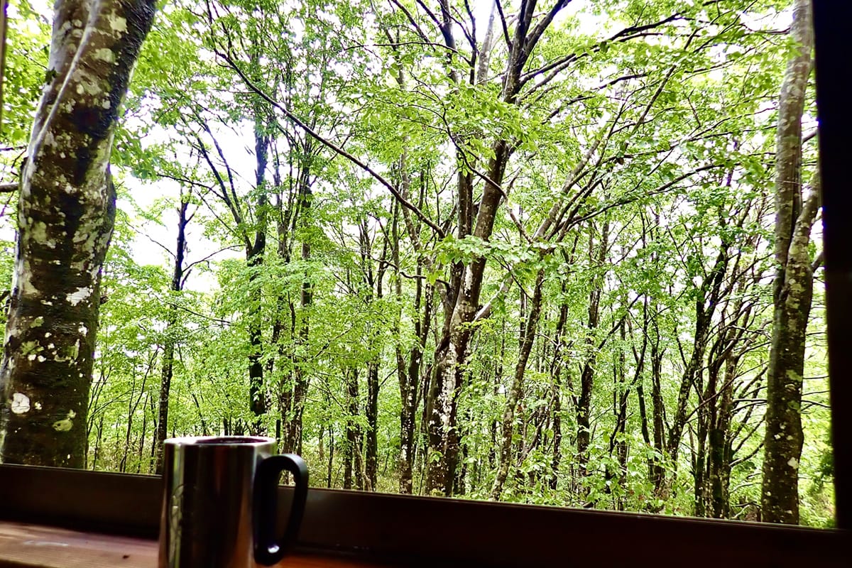 登山とは違う?トレッキングでの山とコーヒーの楽しみ方