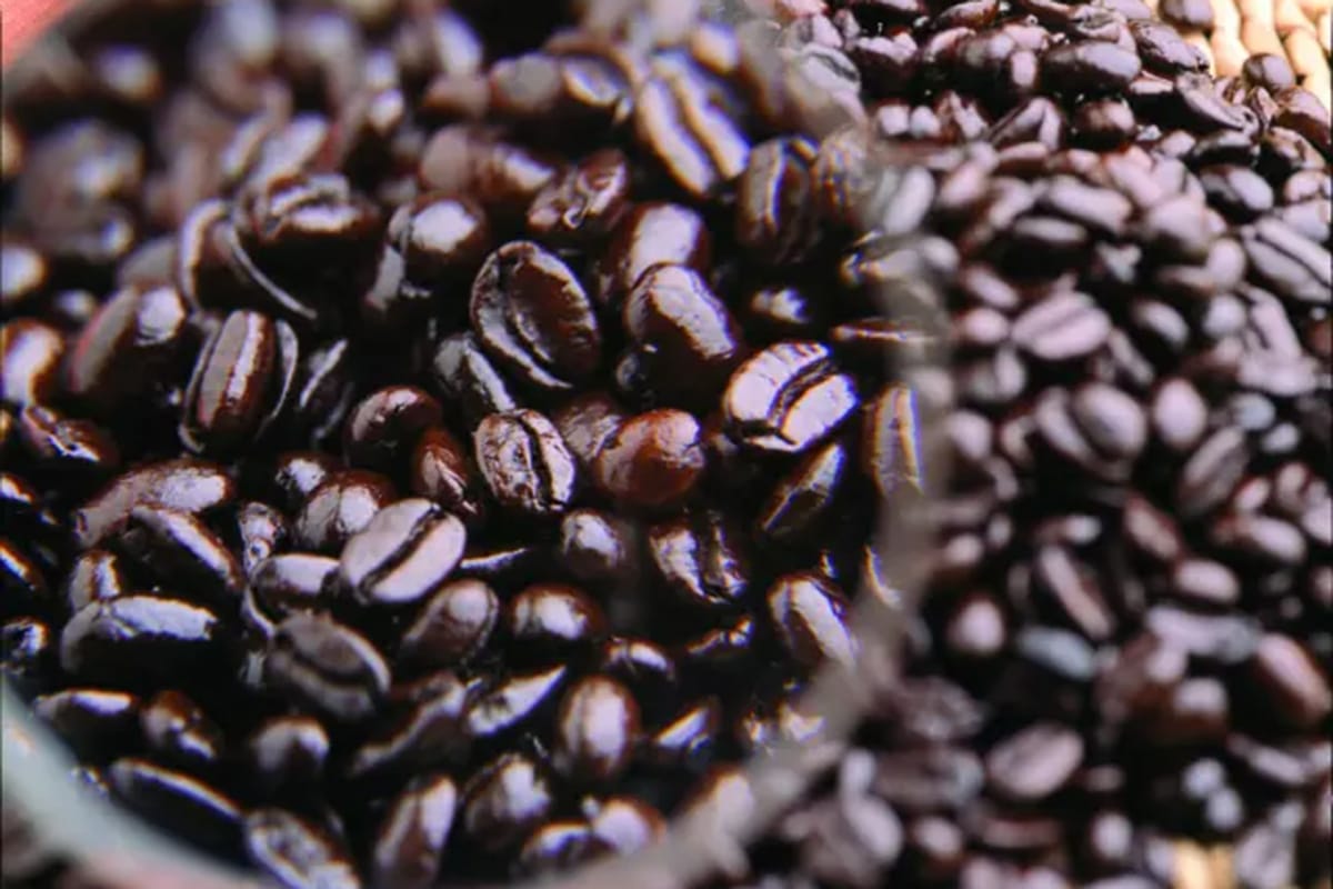 コーヒー選びに迷うときは店員さんや試飲できるお店を選んでみよう