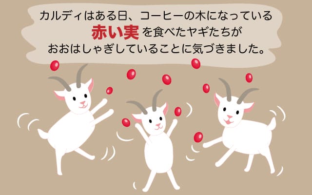 scolumimg2202143 | コーヒーステーション ヤギが赤い実を