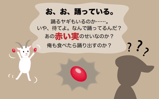 scolumimg2202144 | コーヒーステーション 興味津々のカルディは