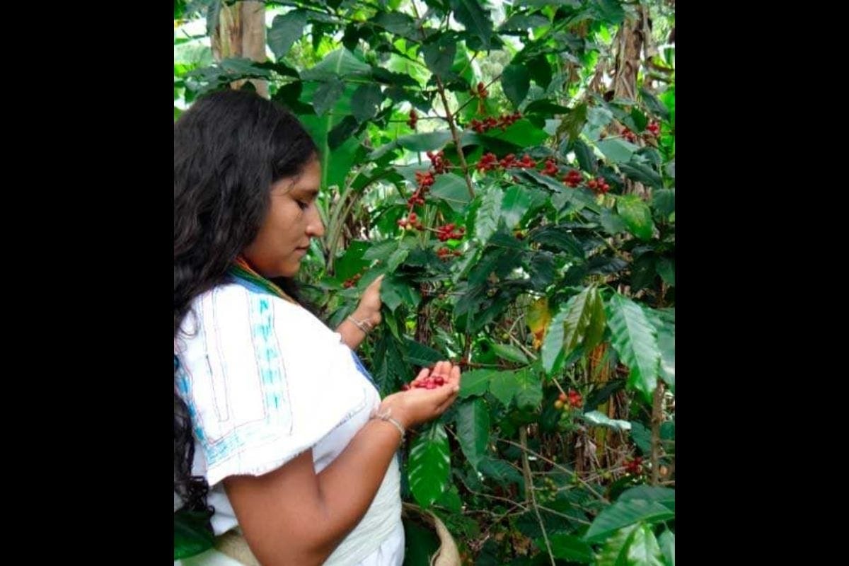 【コロンビアコーヒーサポートプロジェクト】3月下旬よりクラウドファンディング開始