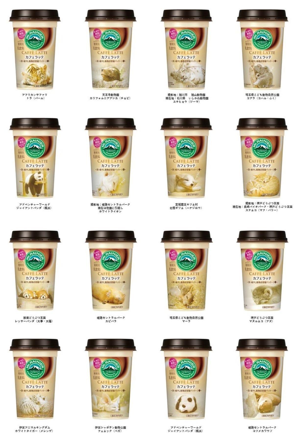 癒しパッケージ一覧