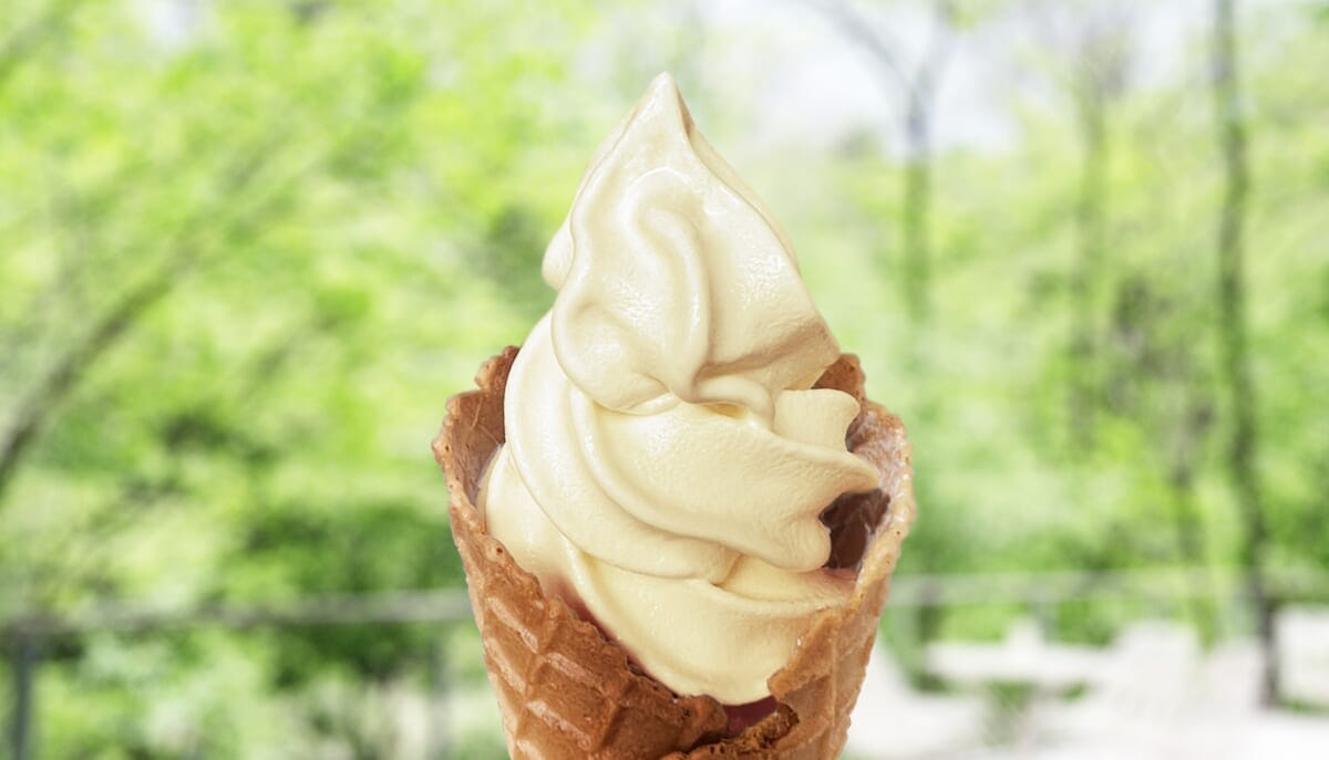 【軽井沢】丸山珈琲バリスタの淹れるエスプレッソソフト「ソフトクリーム(モカ)」発売