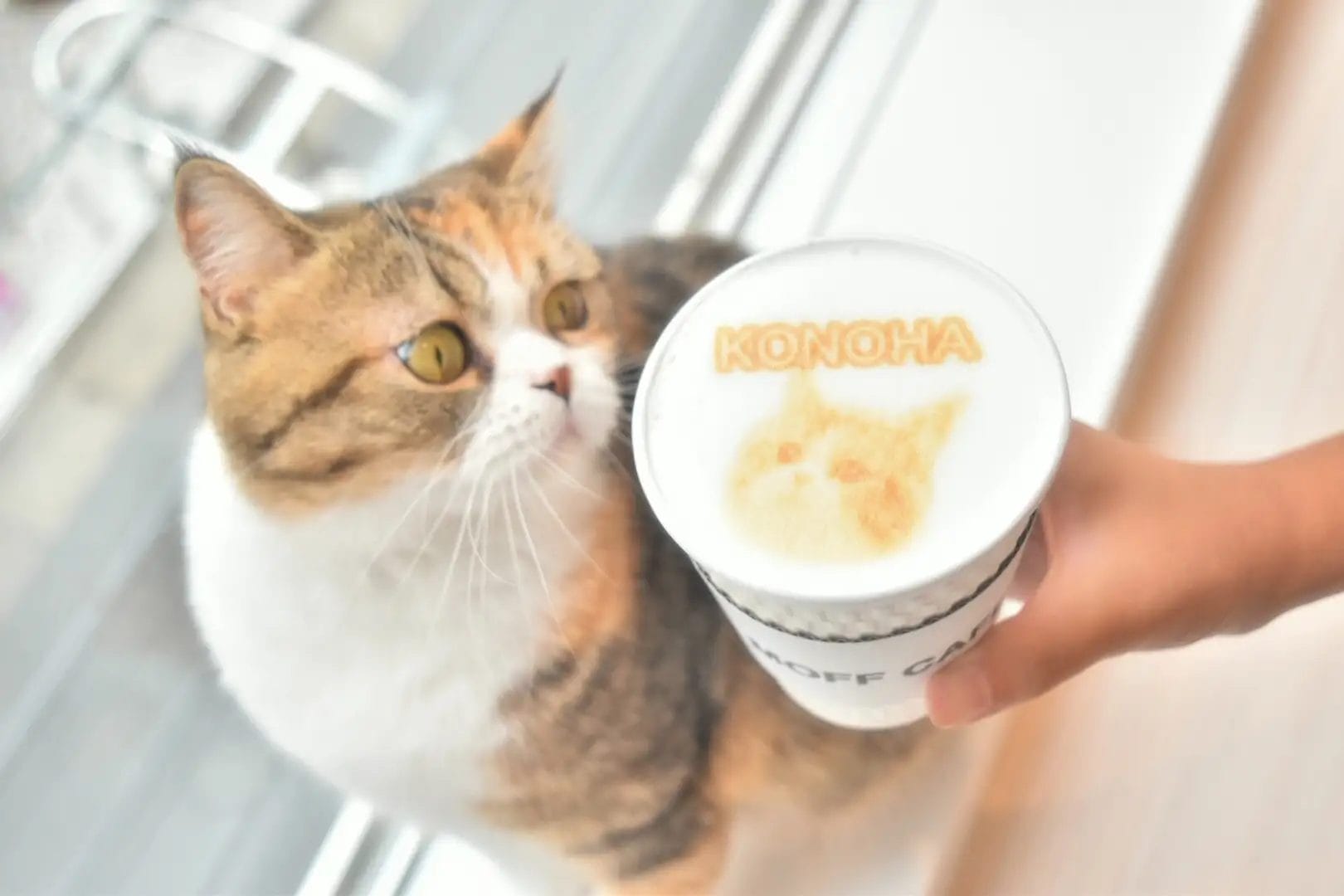 1027626dd2cb32da226f937ba2753d2d8bf92691620x10801 | コーヒーステーション