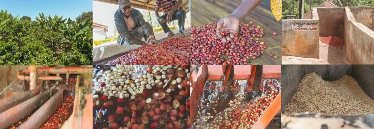 65539166725b424d32688cb1c02b93fd25d06a41904x6571 | コーヒーステーション