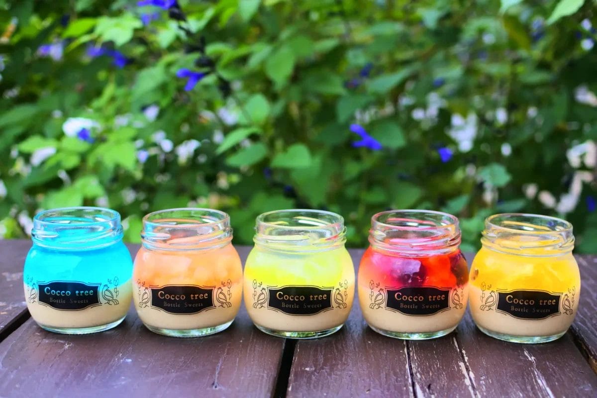 841469238cb47292979229612c8fc88ee7a711f3900x26001 | コーヒーステーション Cocco tree