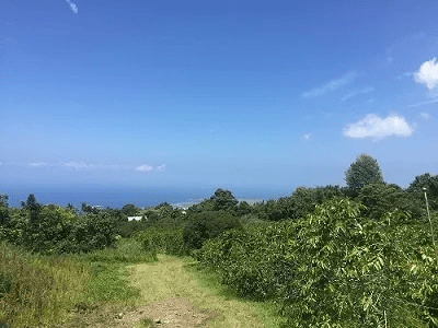 230210t1 | コーヒーステーション