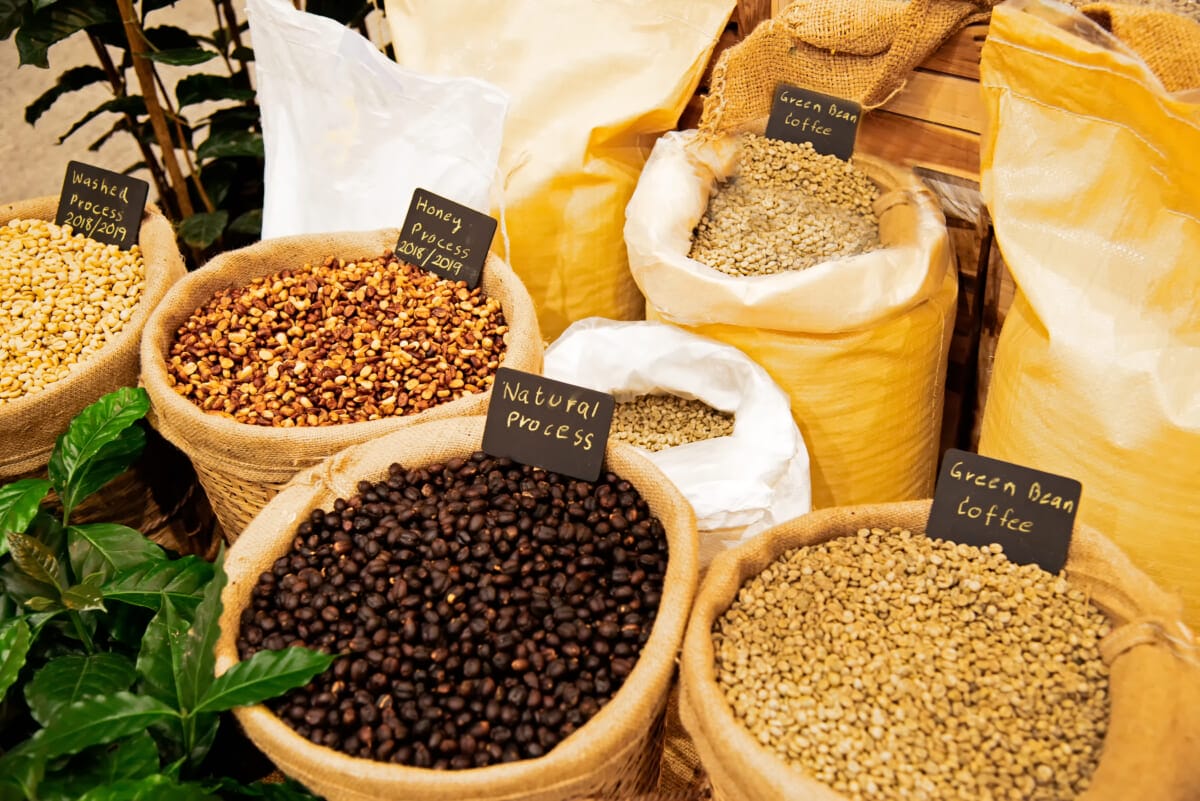 Coffee Drying Process Natural Process coffee beans | コーヒーステーション
