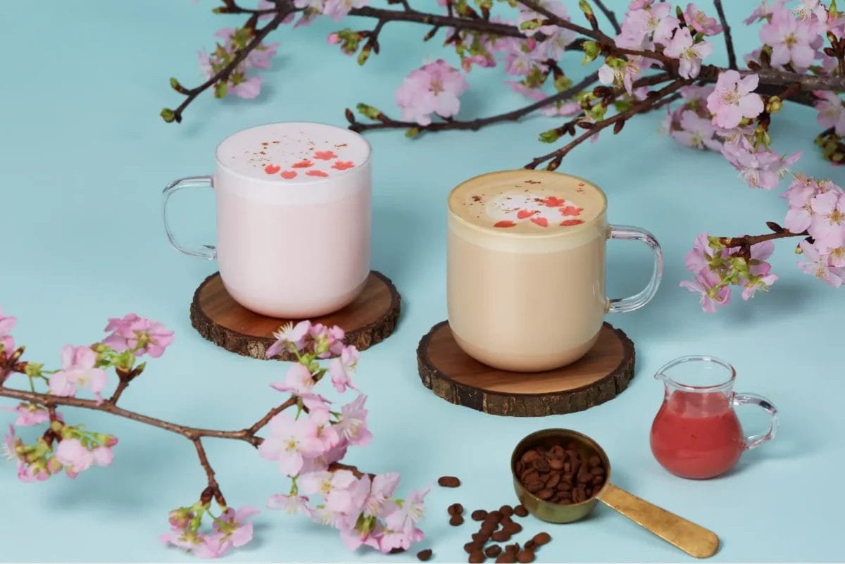 230313s | コーヒーステーション