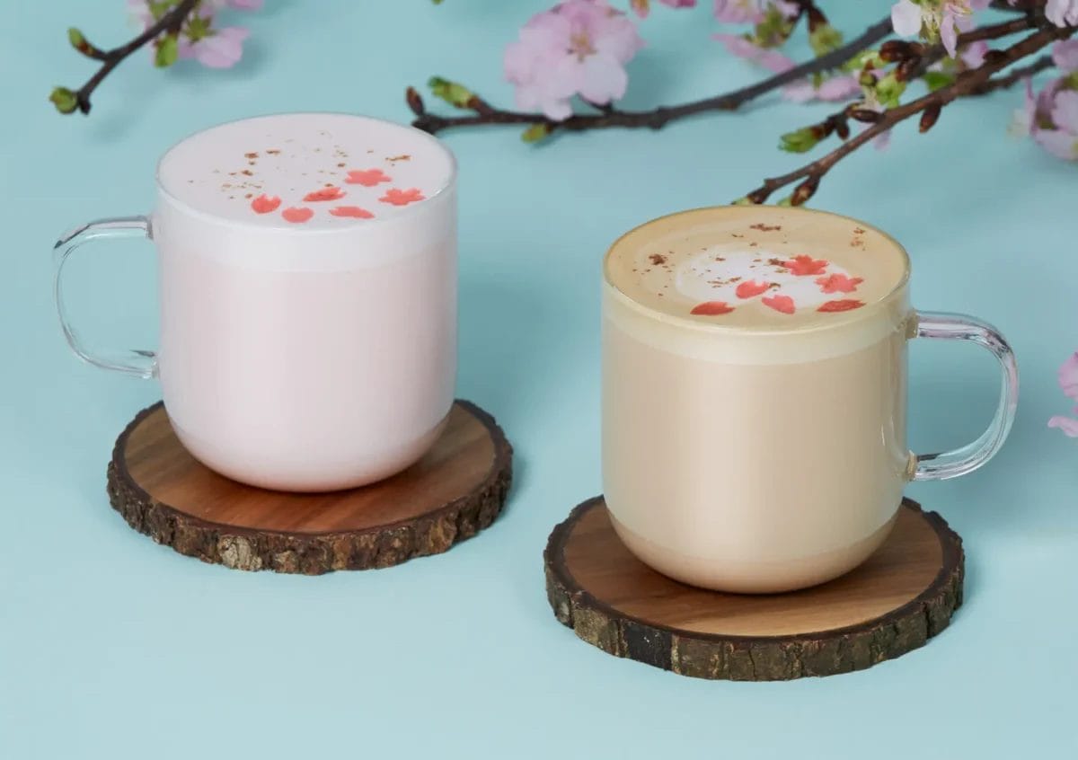 230313s1 | コーヒーステーション