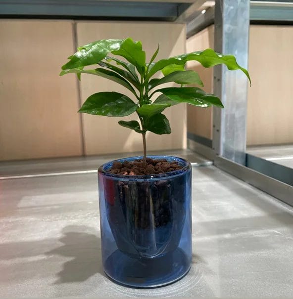 230316l8 | コーヒーステーション