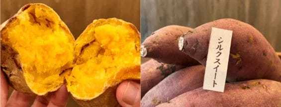 230328c13 | コーヒーステーション