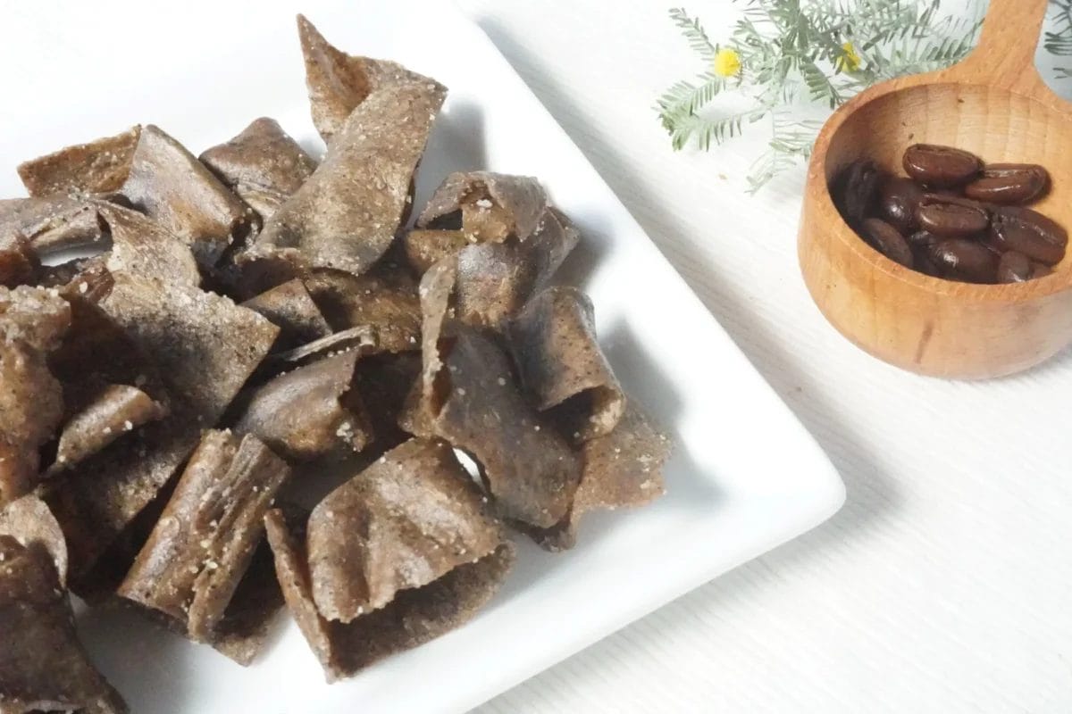 230427n1 | コーヒーステーション