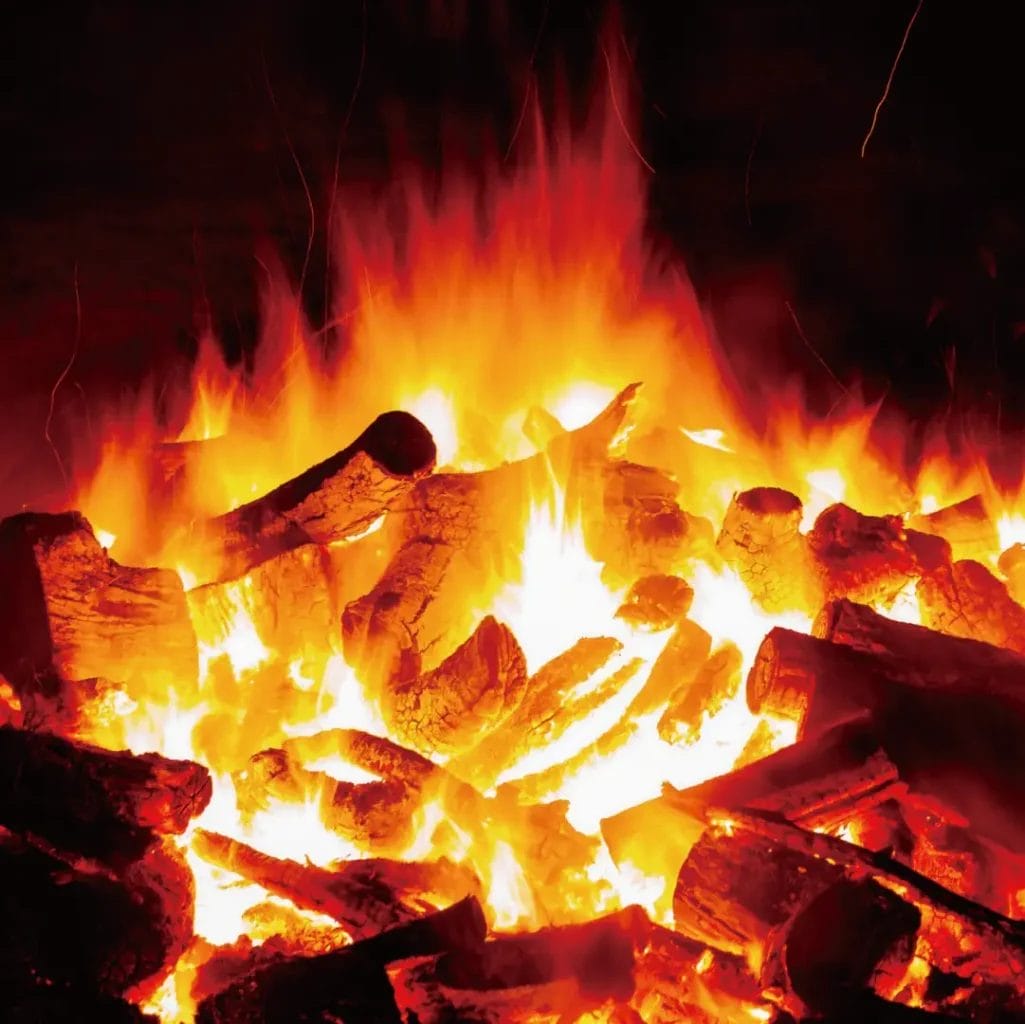 230517d1 | コーヒーステーション