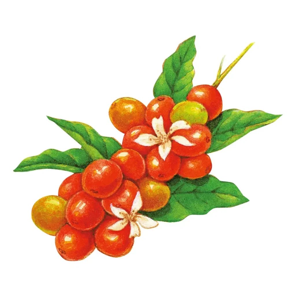 230517d2 | コーヒーステーション