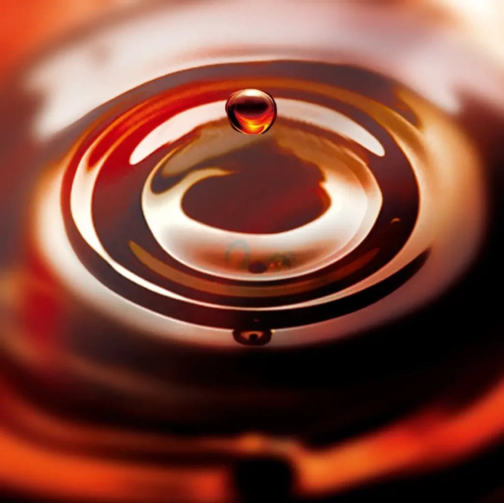 230517d3 | コーヒーステーション