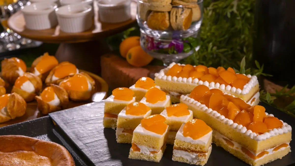 230522k1 | コーヒーステーション