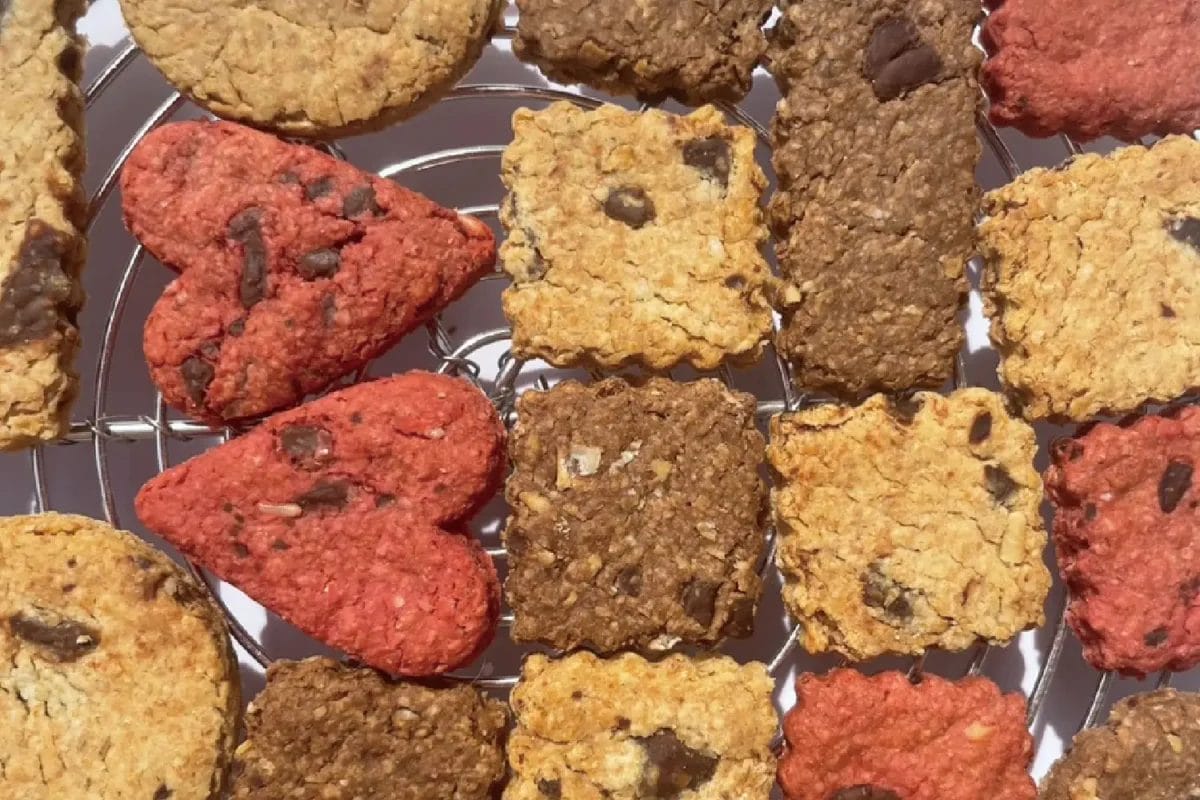 230602i2 | コーヒーステーション