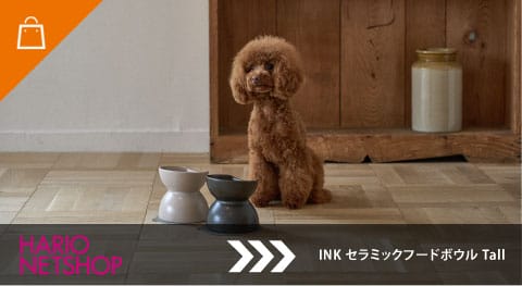 INK セラミックフードボウル Tall