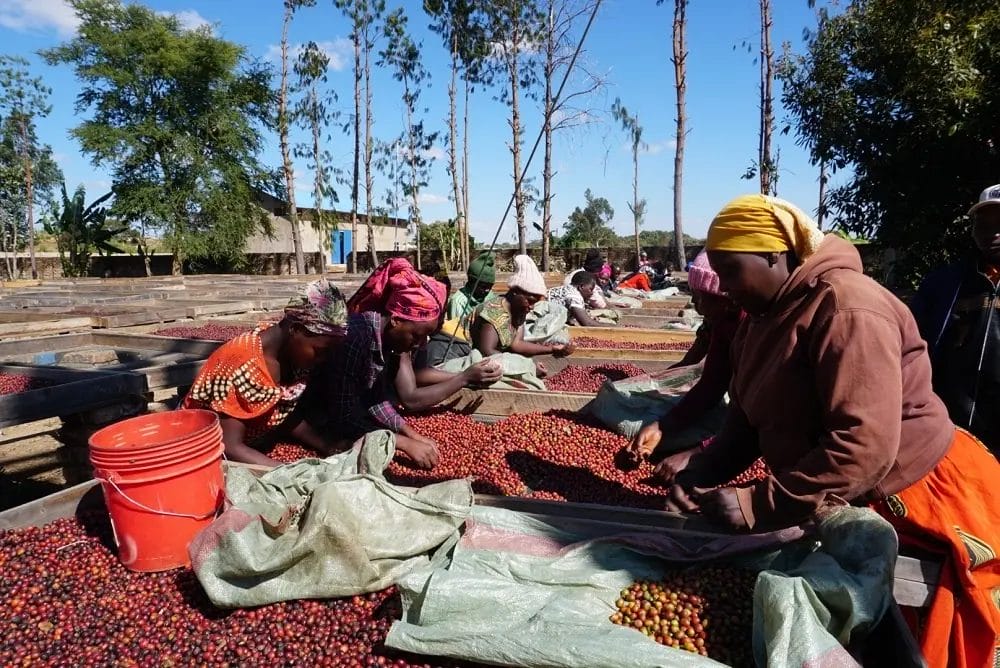 230609t2 | コーヒーステーション