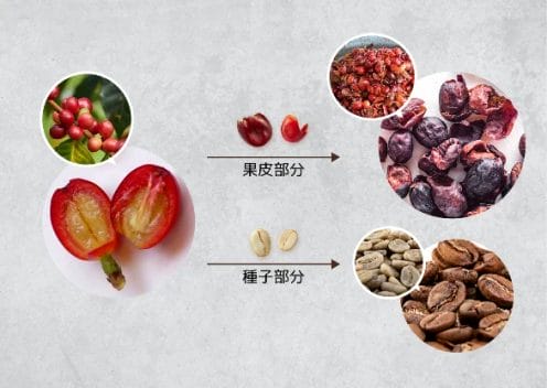 230627i2 | コーヒーステーション