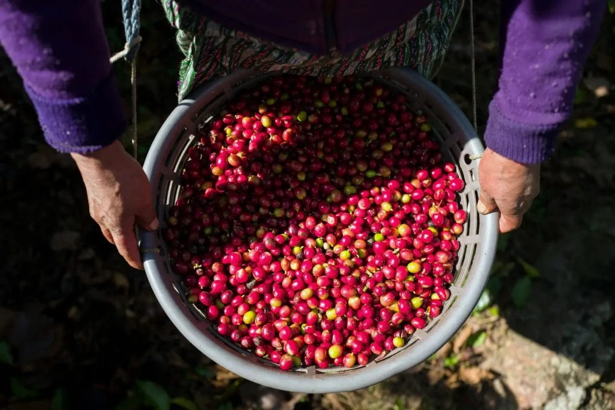 230627i3 | コーヒーステーション