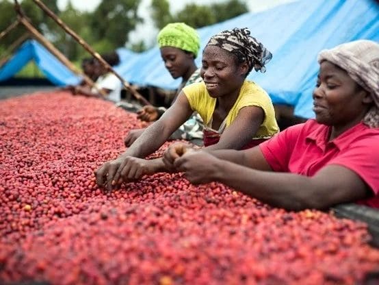 230627i4 | コーヒーステーション