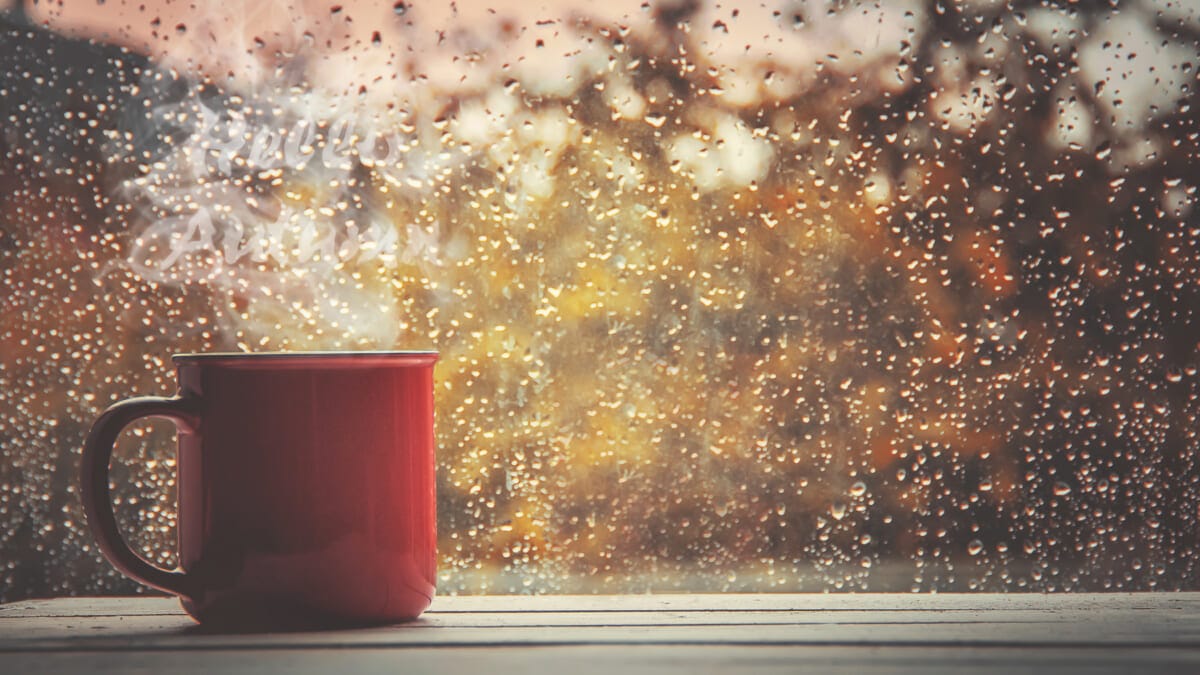 A cup of tea Hello autumn Selective focus | コーヒーステーション