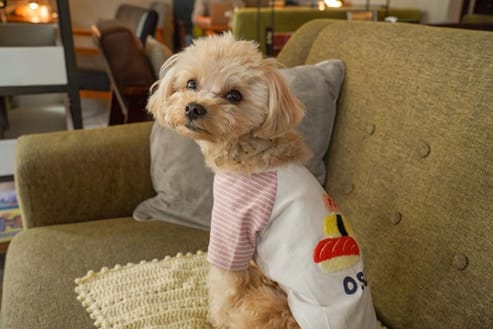 image10 | コーヒーステーション